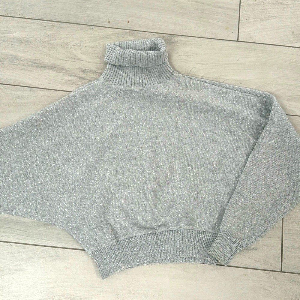 Express silver turtleneck sweater